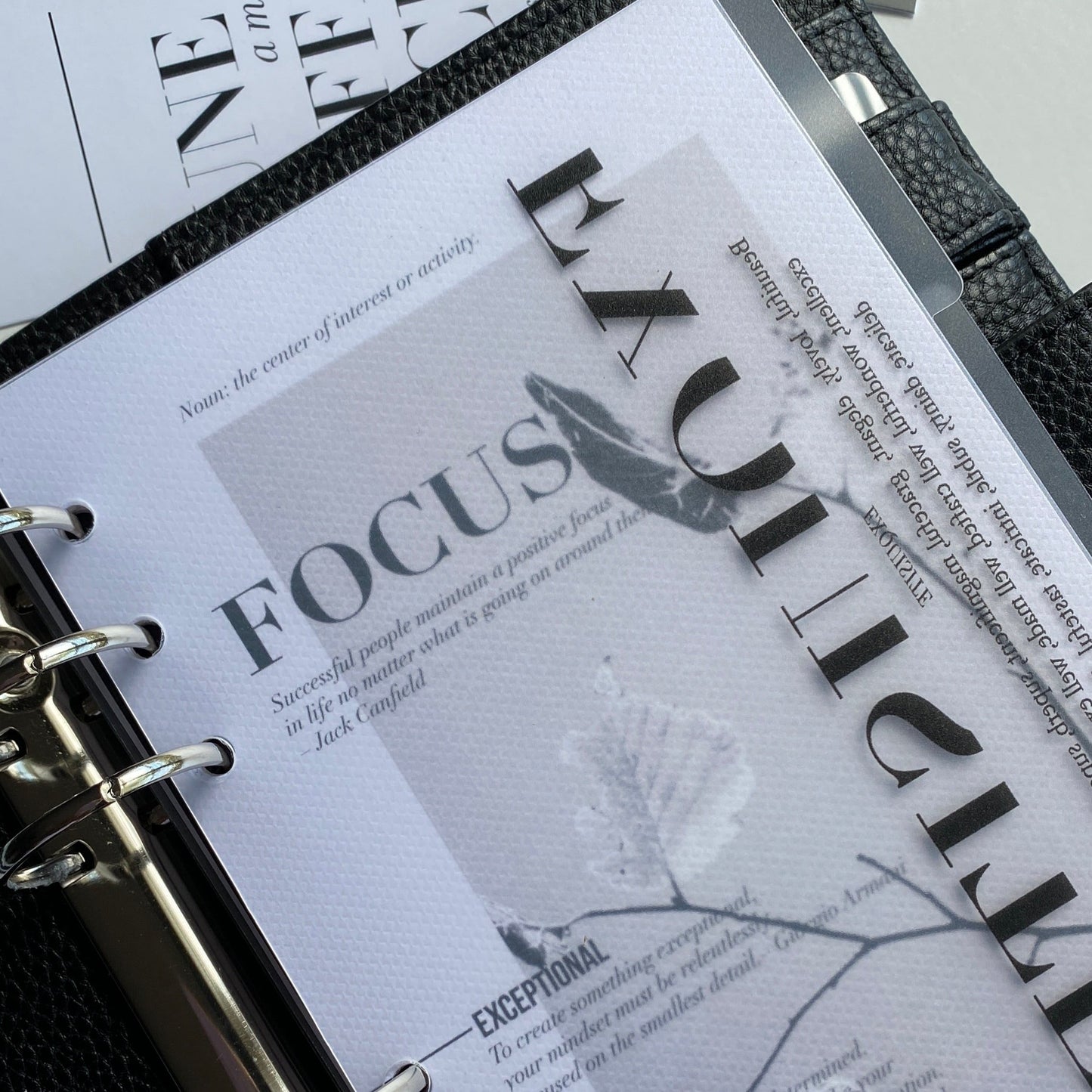 EXQUISITE | FROSTED DASHBOARD