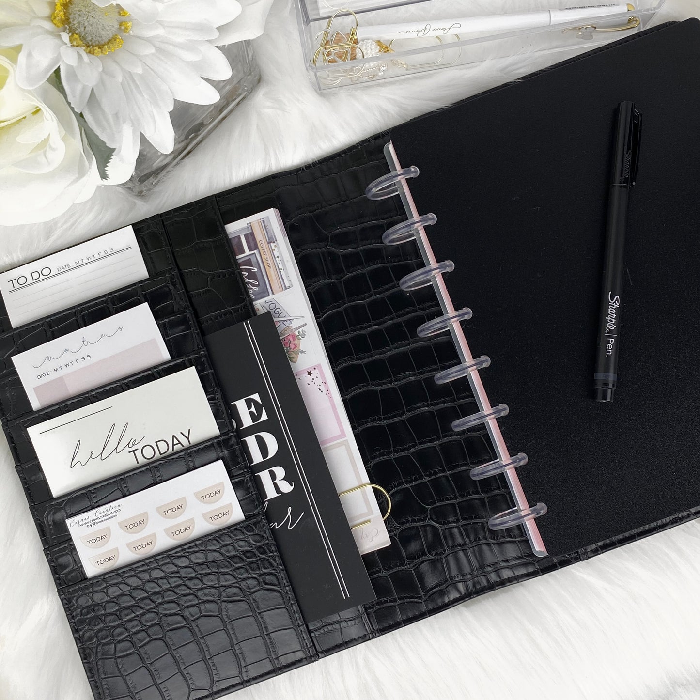AGENDA COVER | NO RING | BALCK CROC